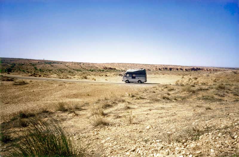 L'Aigle dans
              le désert près de Sidi Boubaker, entre Sbeitla et
              Metlaoui