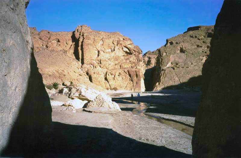 Gorges
          de l'Oued Selja