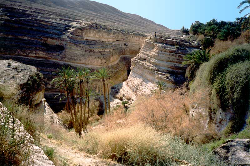Le canyon de Mides