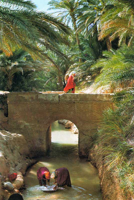 Lavandières sous le pont dans l'oasis