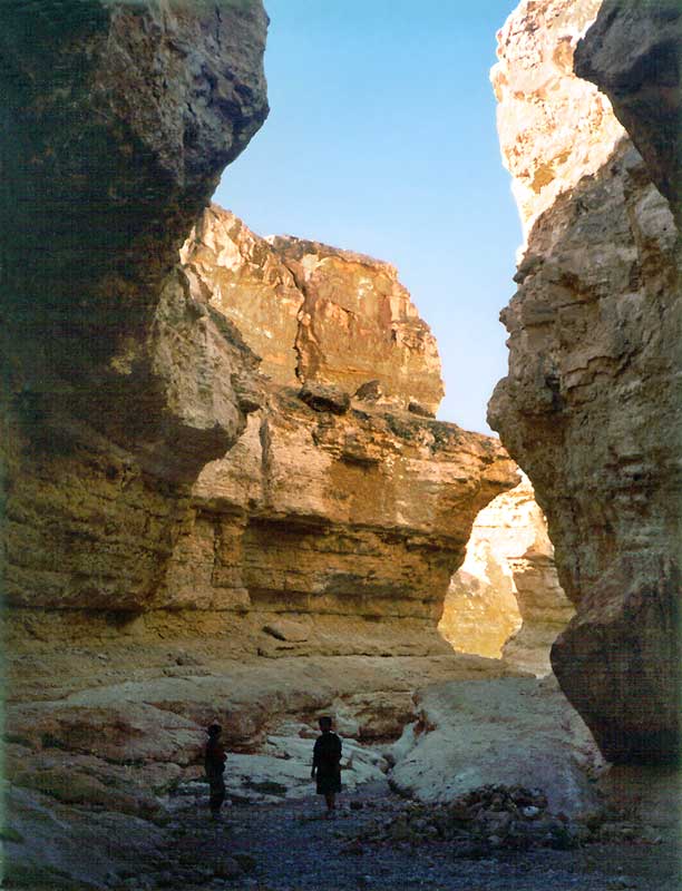 Dans le
                canyon de Tamerza
