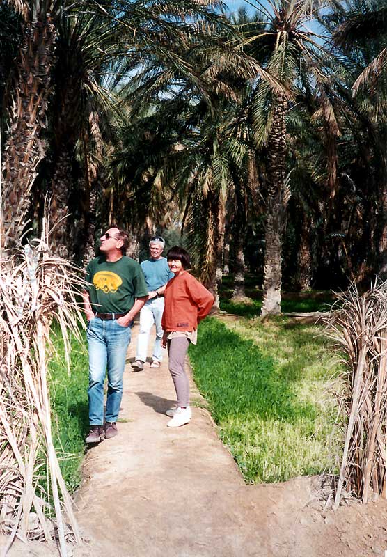 Georges,
                Danielle et Jean-Paul dans l'oasis de Telmine