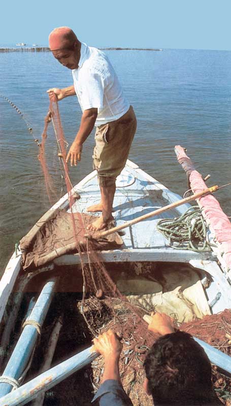 Pêcheur à Djerba