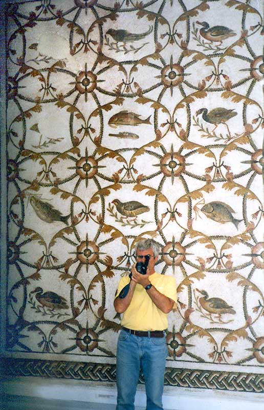 Mosaïque du Musée de la Casbah : décor animalier