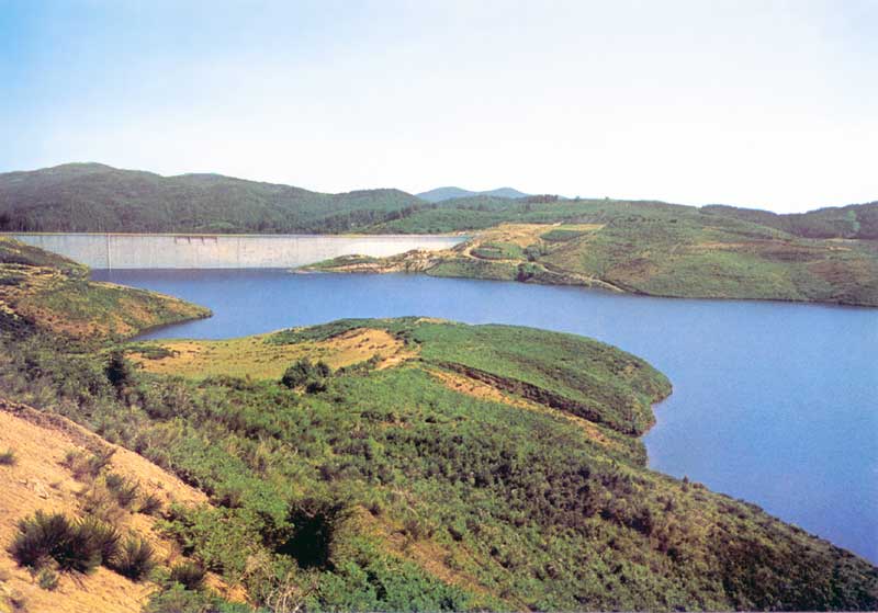 Lac
                de barrage dans le Massif de la Sila : Lago del
                Passante