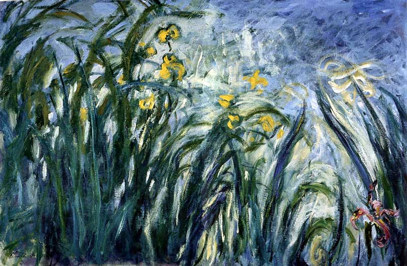 Monet : Iris jaunes et mauves (1924-1925)