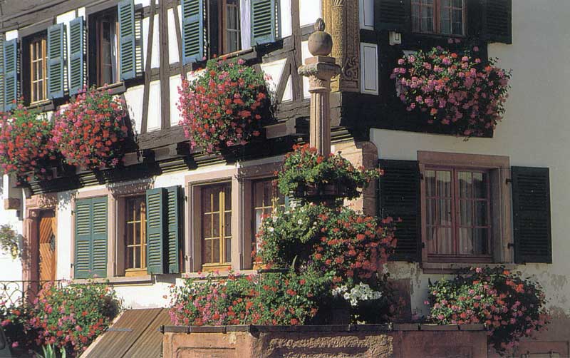 Riquewihr : façade et fontaine fleuries