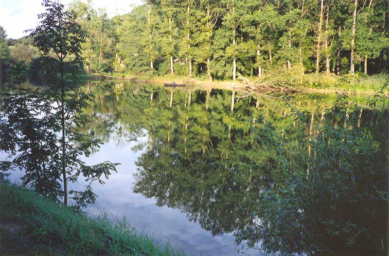 Le Doubs à Roulans