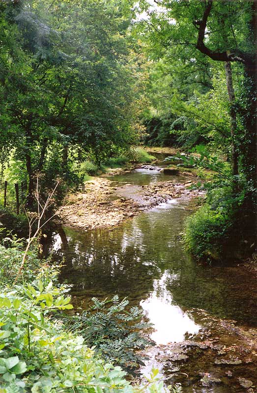 Vallée
                de la Seille