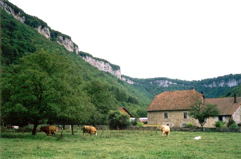 Baume-les-Messieurs