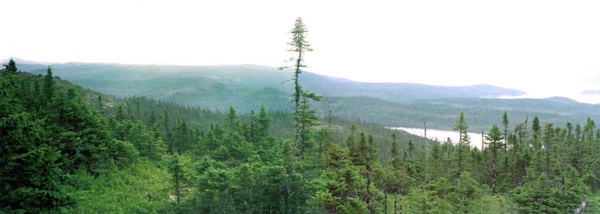 Terra-Nova-Blue-Hill-panorama