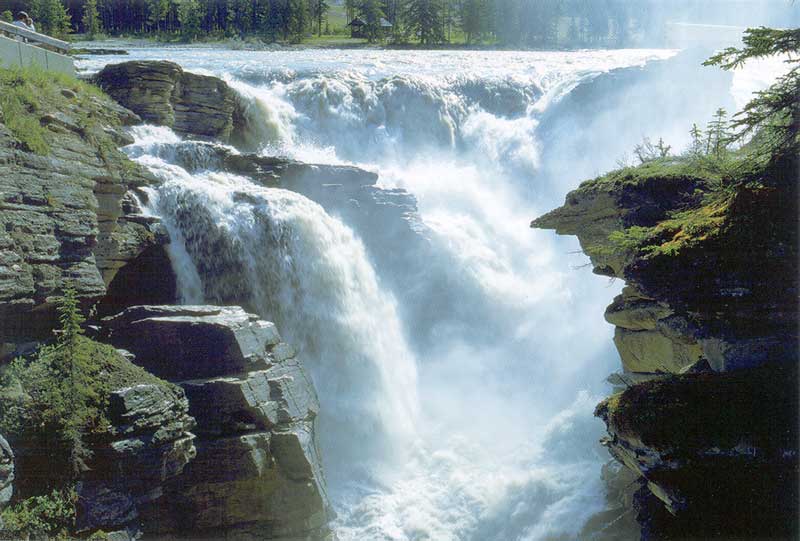 Chute tumultueuse de l'Athabasca Falls