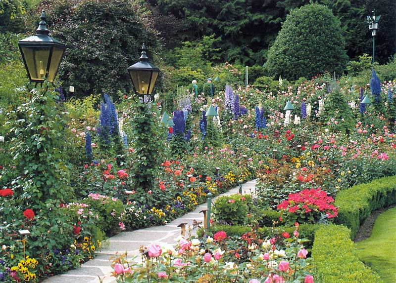 Butchart-Gardens-roseraie