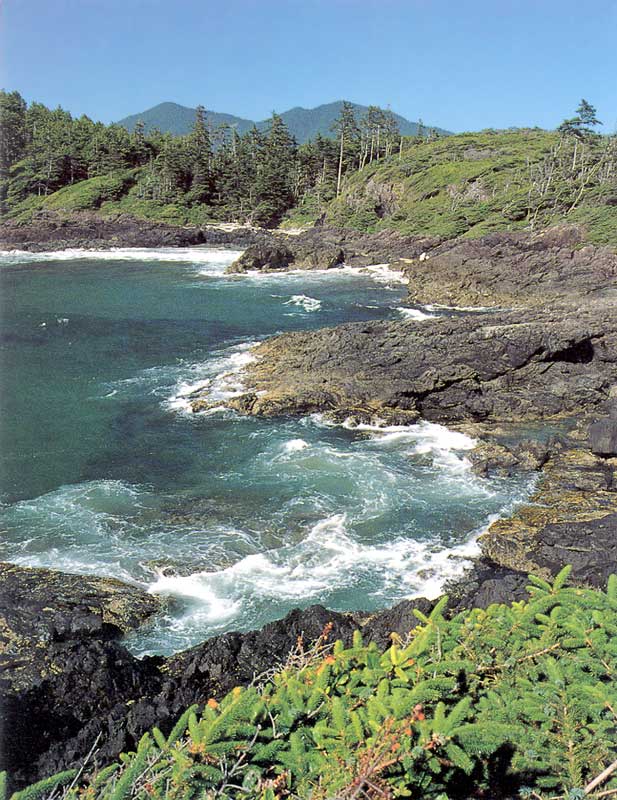 Pacific Rim : côte rocheuse