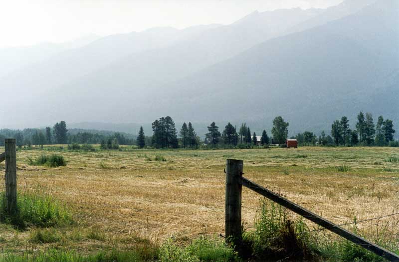 Vallée et ferme près de McBride