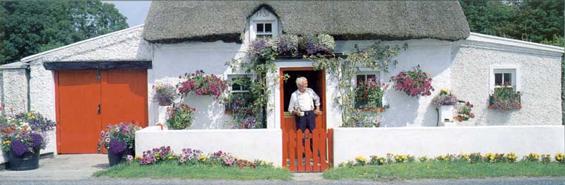 Cottage
          (chaumière) irlandaise