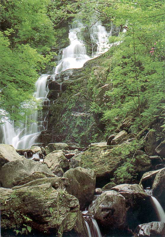 Killarney Park : Torc Waterfall