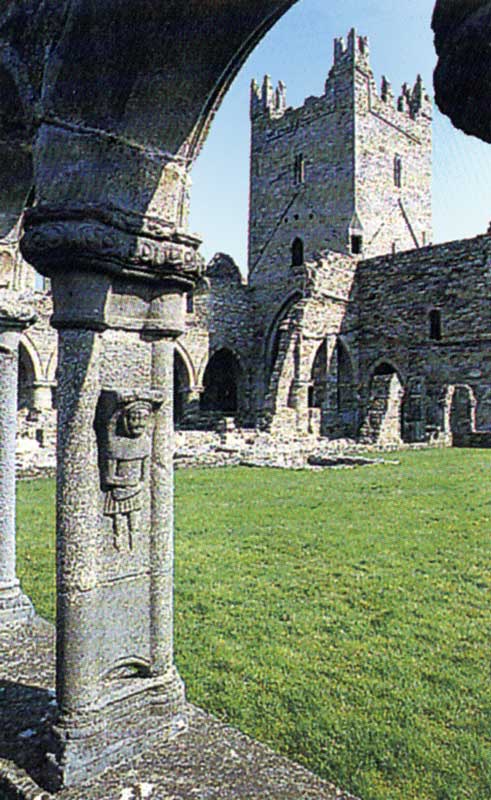 Jerpoint Abbey : le cloître et ses colonnettes
              sculptées