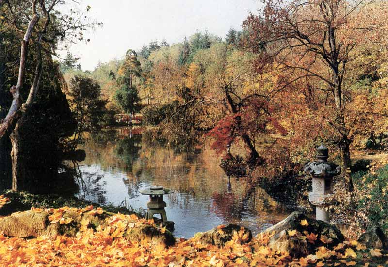 Parc oriental de Maulevrier : le lac en automne