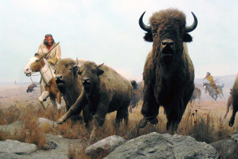 Amérindiens des Plaines chassant le bison