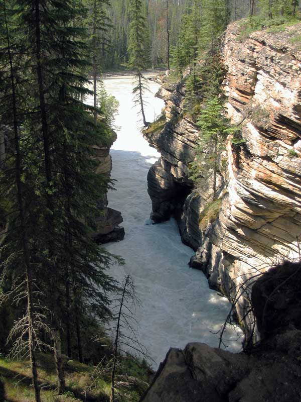 Athabasca Falls : canyon vers l'aval