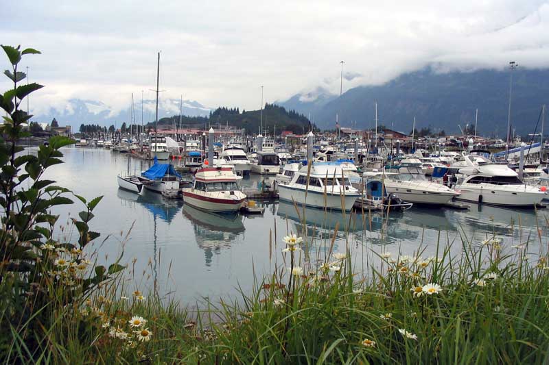 Valdez-port-de-plaisance