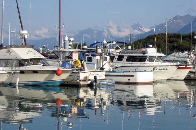 Valdez : yachts à quai dans le port de plaisance de
                Valdez