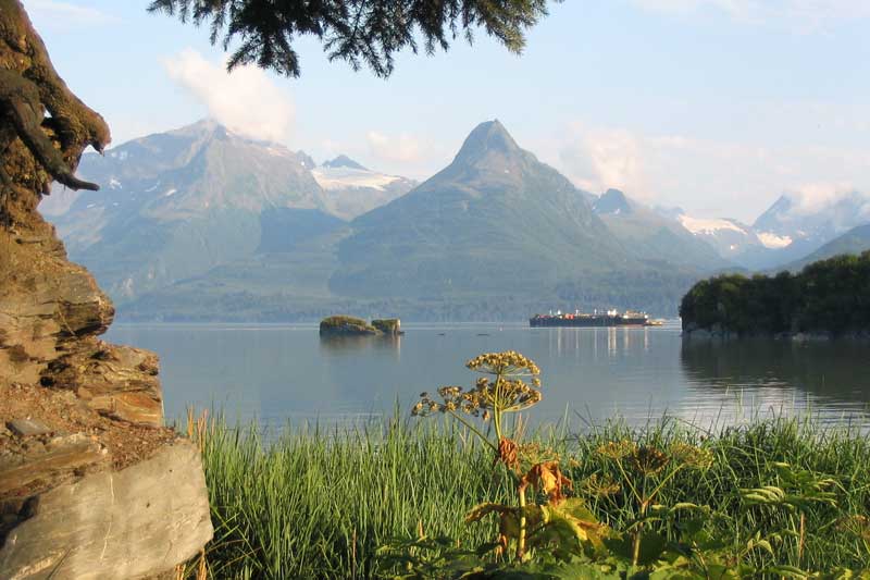 Panorama sur
                le fjord de Valdez