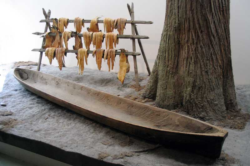 Pirogue haida taillée dans un tronc