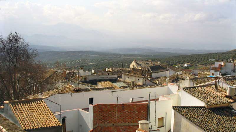 Depuis la salle des archives du Palacio de las Cadenas, vu
        sur les toits d'Ubeda et la campagne