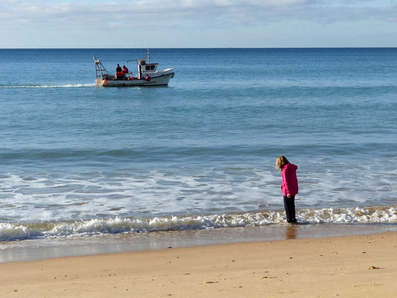 Hermione sur la Praia de Falesia