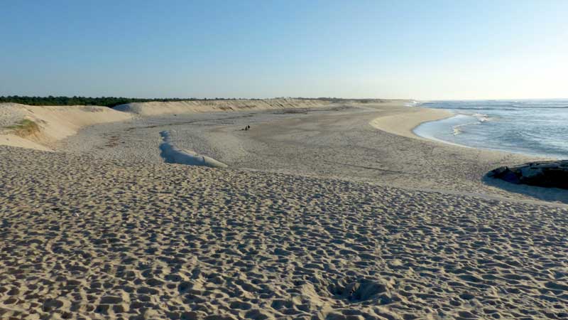 Les
            dunes de Furadouro