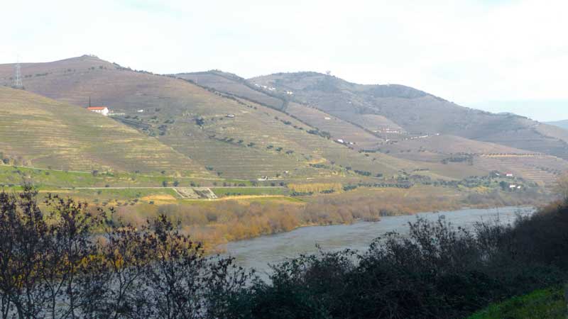 Douro-en-aval-du-barrage-de-Regua.jpg