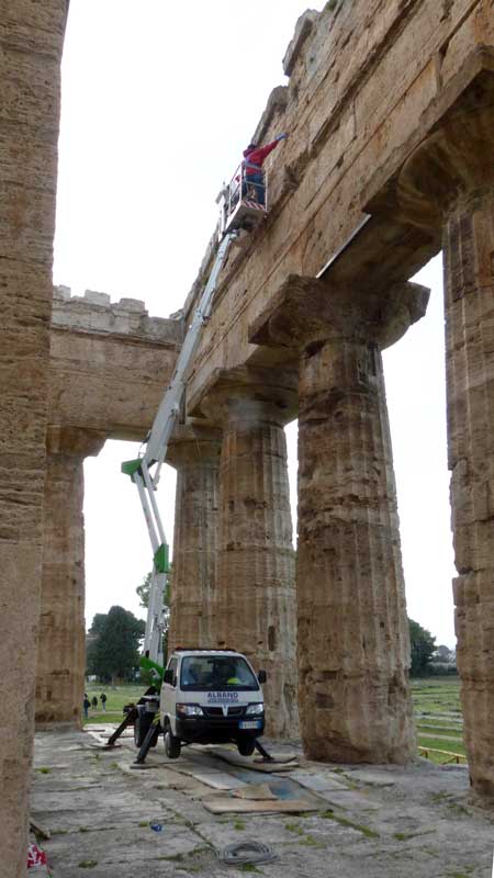Paestum : désherbage du temple de Neptune