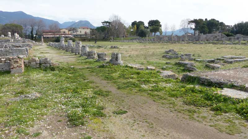 Paestum-forum