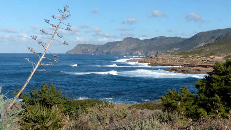 Argenteria la cote vers le nord