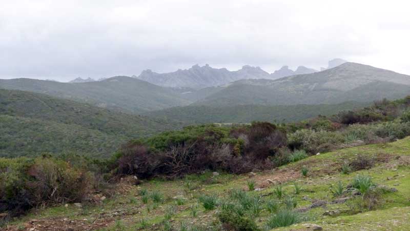 Près de Porto Palma les montagnes de
                      l'intérieur