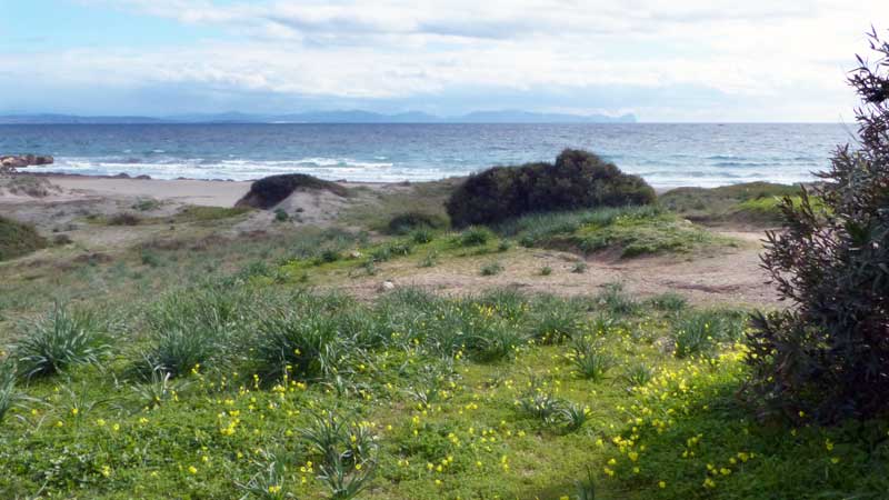 Plage-de-Coaquaddus