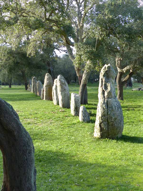 Alignement de
                  menhirs de Pranu Muttedu