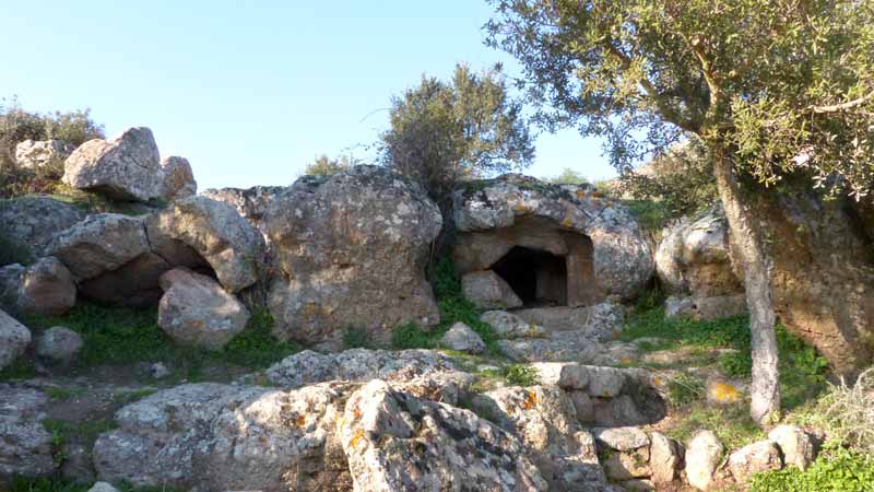 Pranu-Mutteddu : domus de janas à flanc de
                  rocher