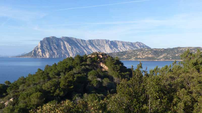 Isola-Tavolara-depuis-Capo-Coda -Cavallo