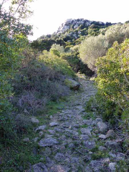 Le sentier malaisé vers le Nuraghe Cabu-Abbas