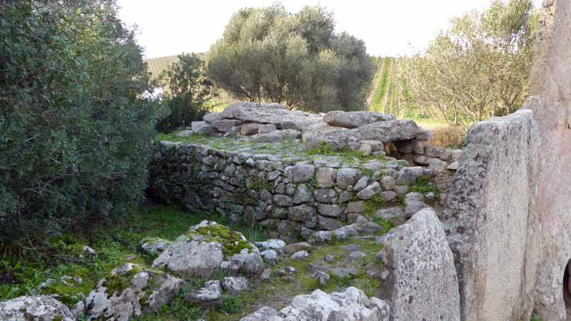 Coddu-Ecchju-le-tumulus-et-les-dalles-de-couverture