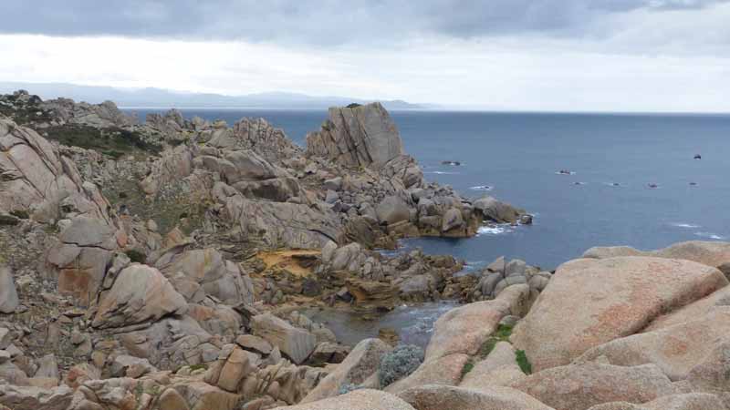 Capo
                  Testa: la pointe