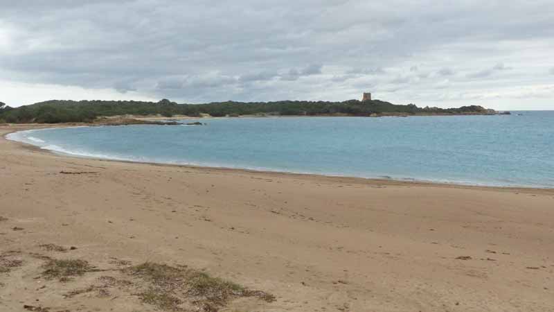 Baia
                  Vignola : la plage et la Turra du XVIème