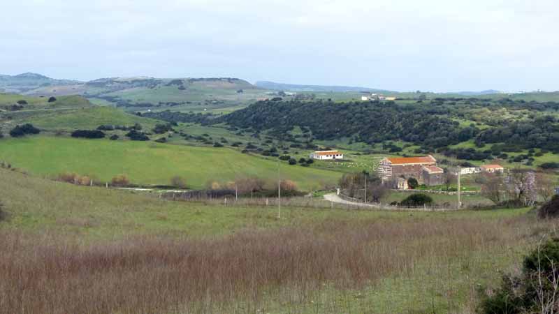 Site
                  de San-Pietro-di-Simbranos