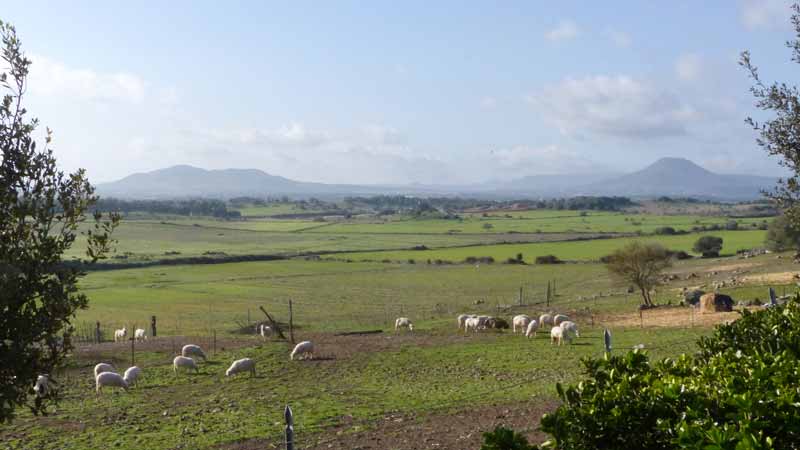 Sant'Antioco-di-Bisarcio campagne