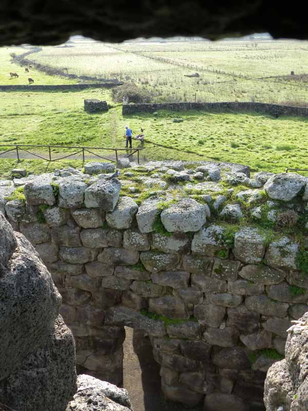 Vue sur le mur-rideau par la fenetre au 1er étage
                  du donjon