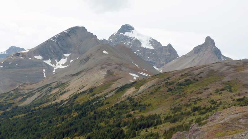 Parker
            Ridge : vers le Mt-Athabasca