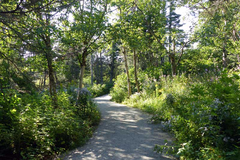 Cap
              Bon-Désir : le sentier